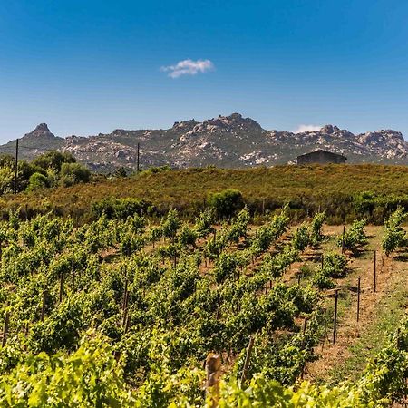 Locanda In Vigna Arzachena Kültér fotó