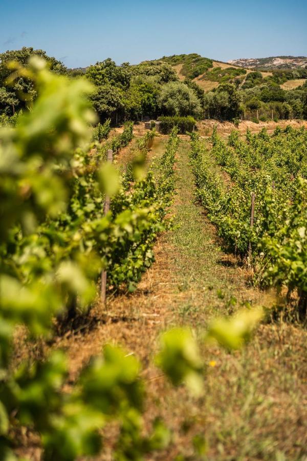 Locanda In Vigna Arzachena Kültér fotó