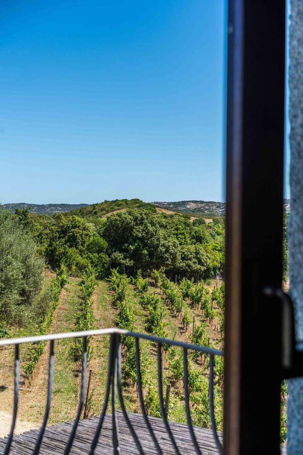 Locanda In Vigna Arzachena Kültér fotó