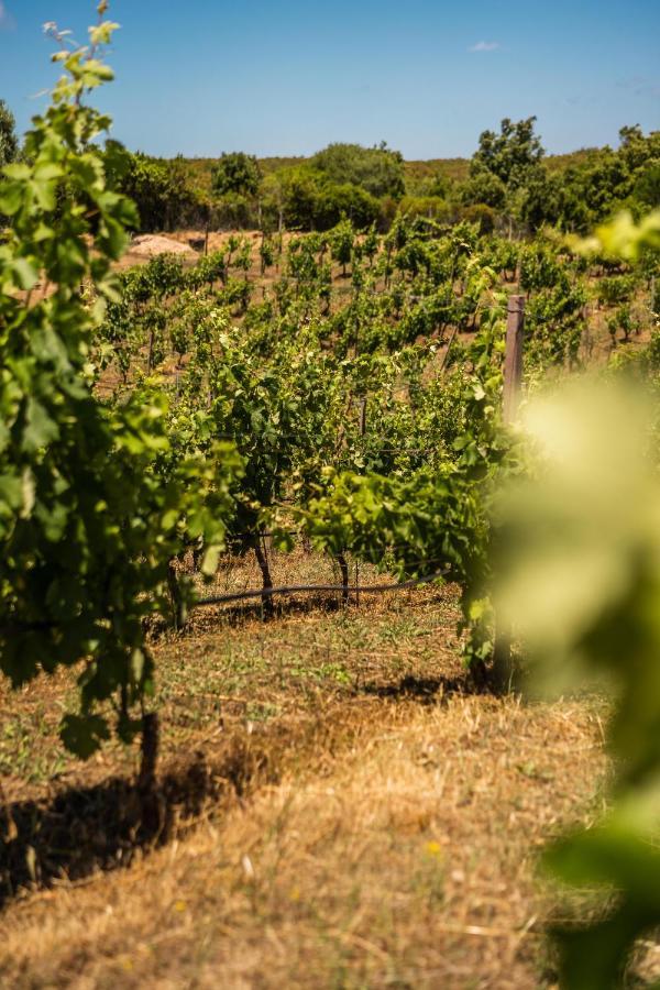 Locanda In Vigna Arzachena Kültér fotó