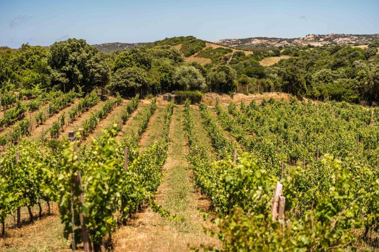 Locanda In Vigna Arzachena Kültér fotó