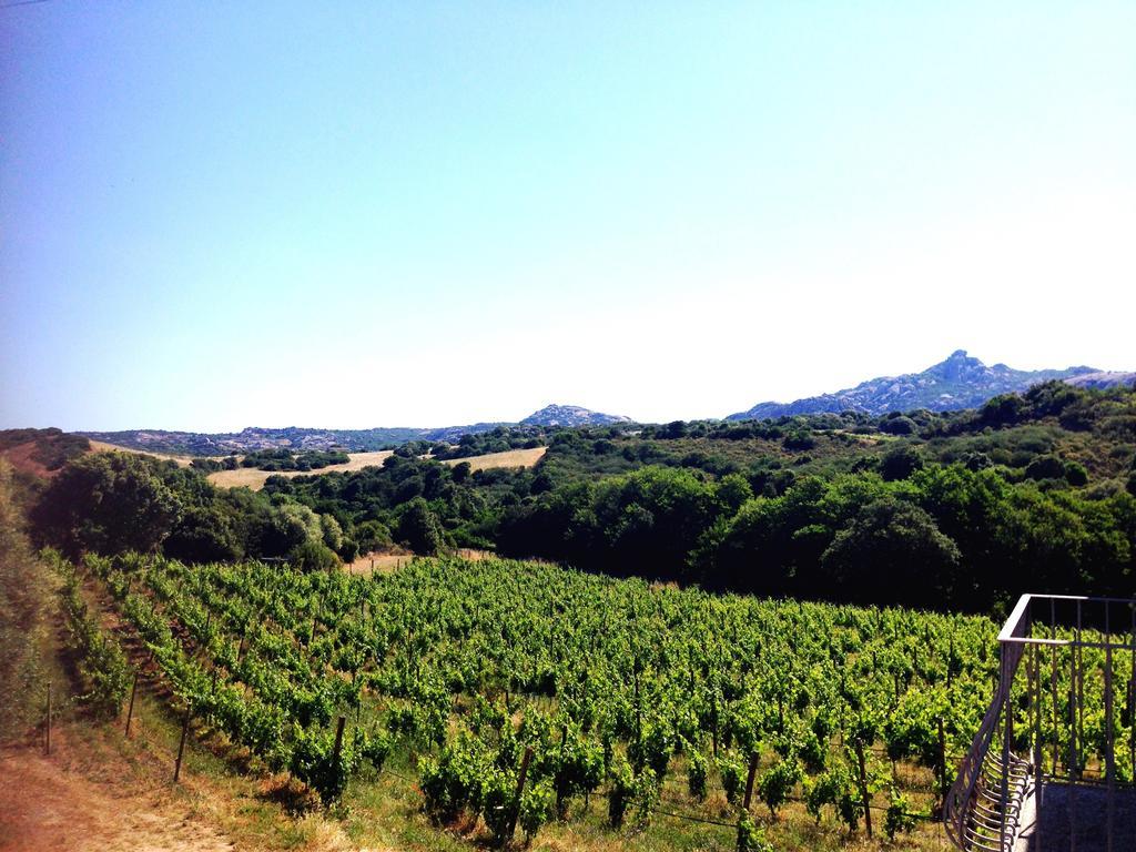 Locanda In Vigna Arzachena Kültér fotó